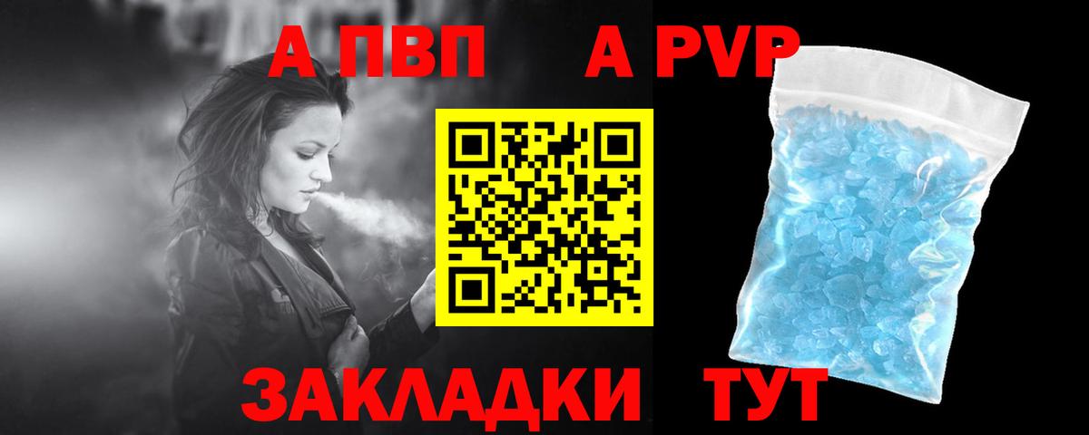 A PVP СК КРИС Сунжа