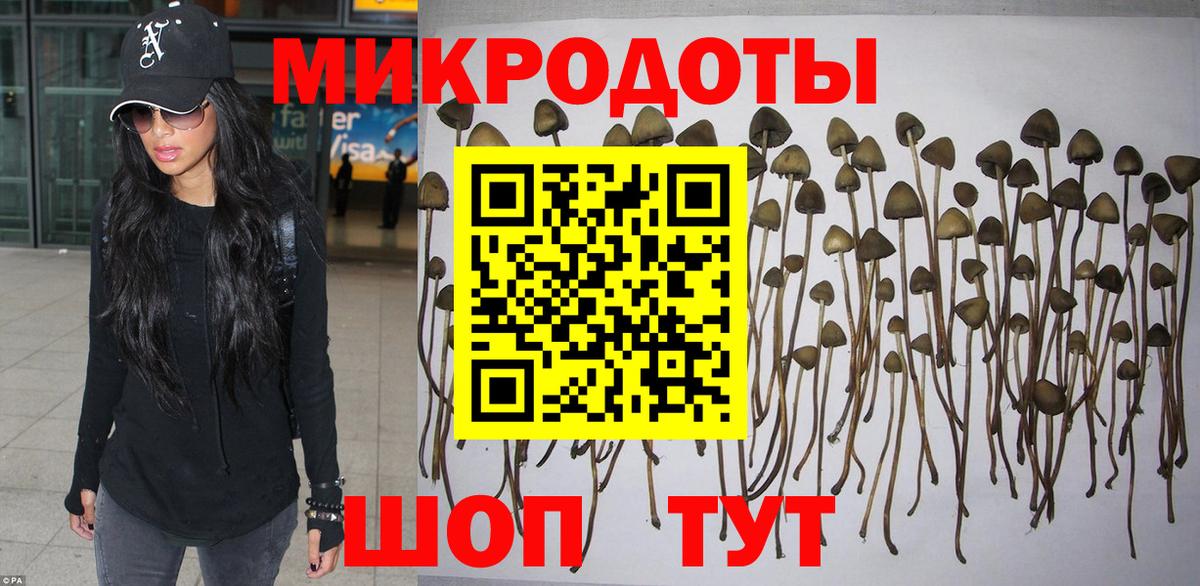 Галлюциногенные грибы Psilocybine cubensis Сунжа
