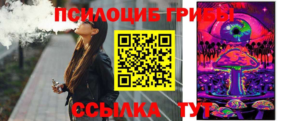 Сунжа  Галлюциногенные грибы мицелий  Псилоцибиновые грибы прущие грибы  Вход с VPN 